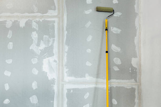 Best Basement Mold Removal  in Saukville, WI