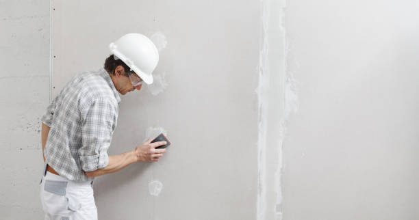 Best Mold Remediation for Healthcare Facilities  in Saukville, WI
