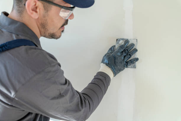 Best Real Estate Mold Inspection  in Saukville, WI