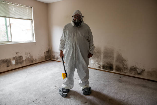 Best Water Damage & Mold Remediation  in Saukville, WI