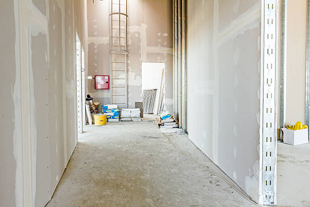 Best Black Mold Removal  in Saukville, WI