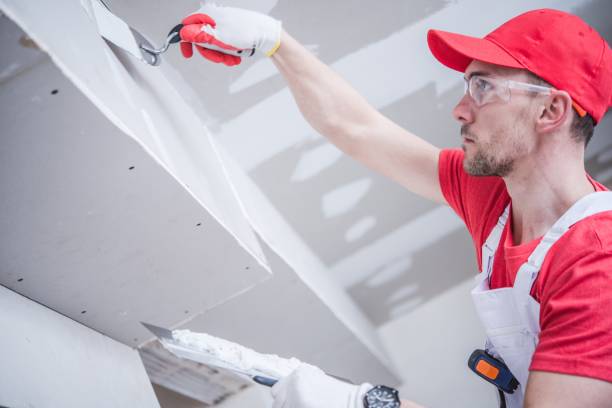 Best Mold Remediation for Healthcare Facilities  in Saukville, WI