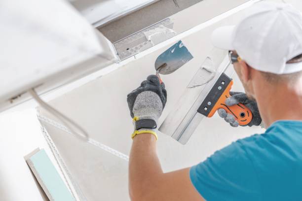 Best Real Estate Mold Inspection  in Saukville, WI